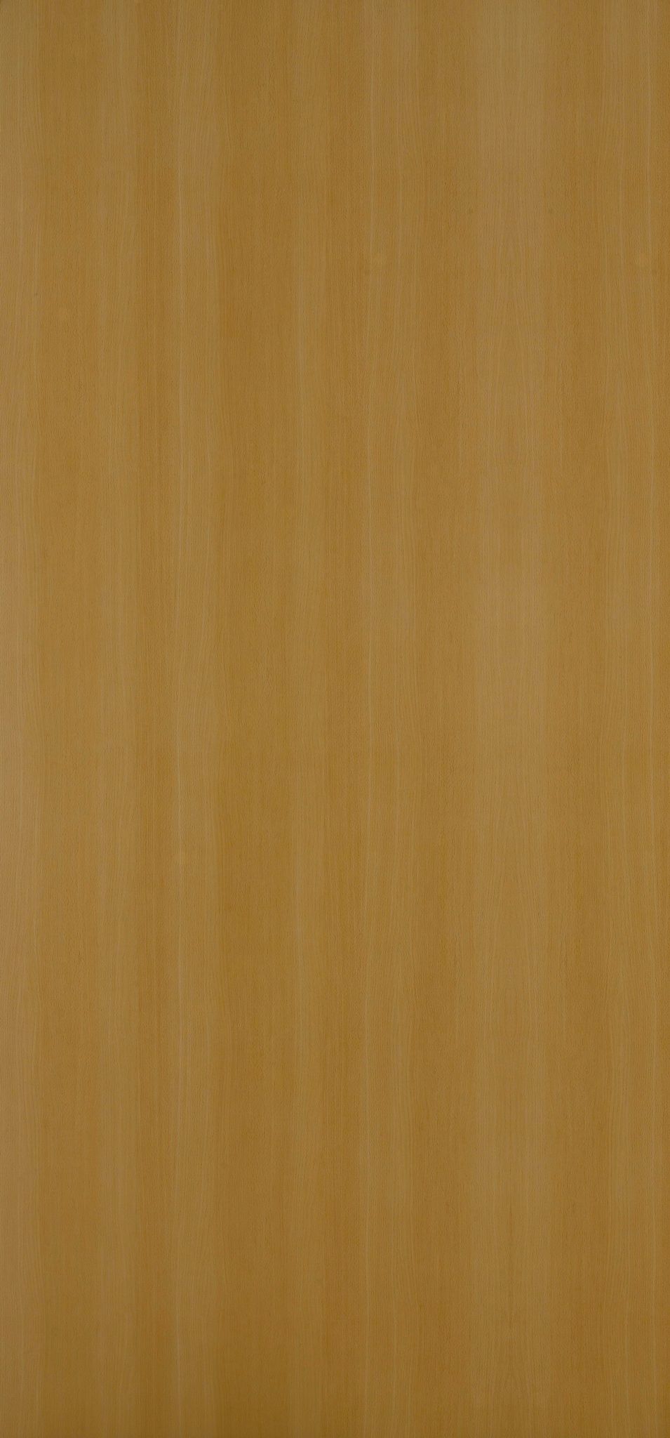 Greenlam Precious Beech SUD