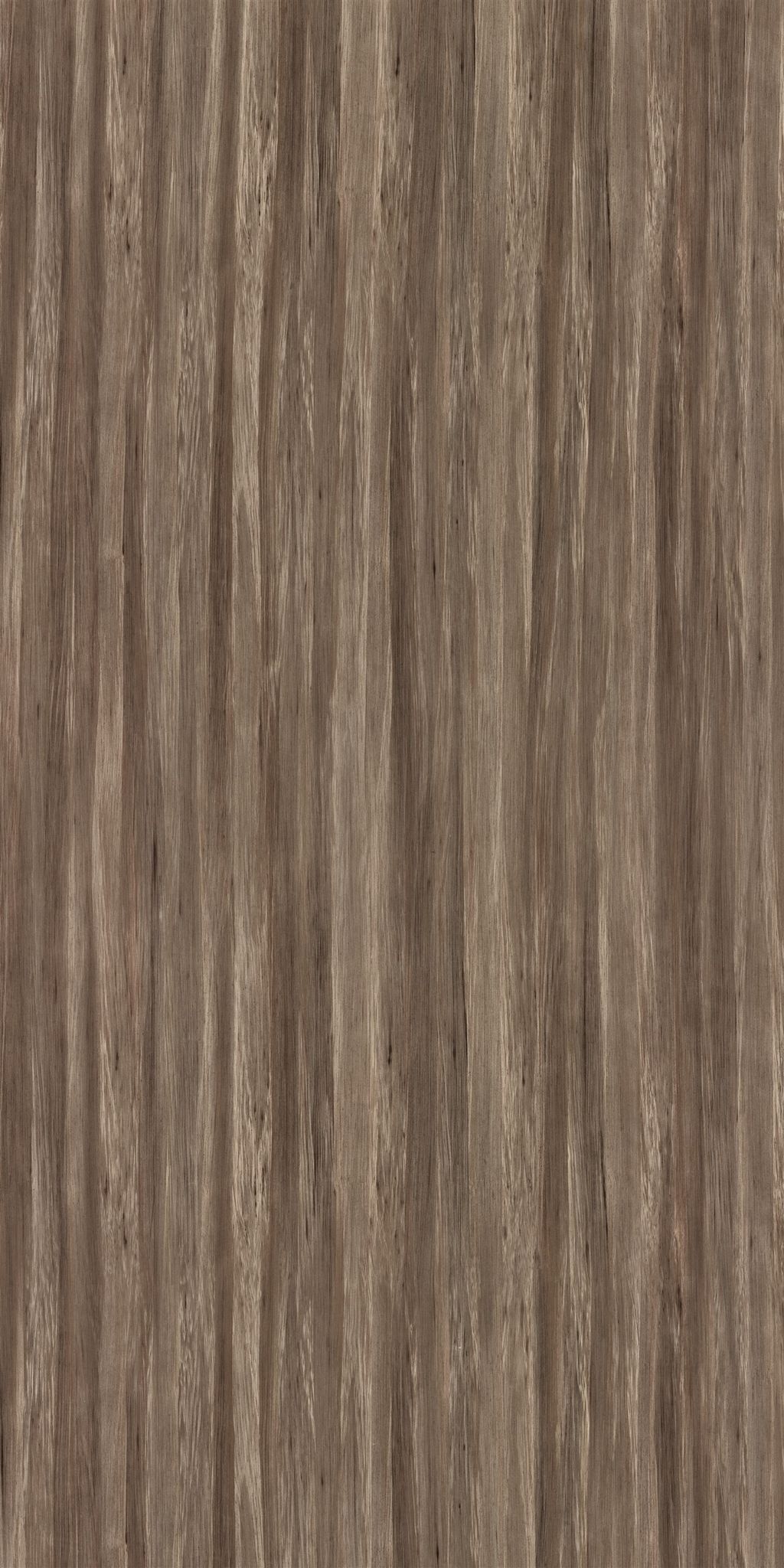 मेरिनो रसेट ट्रॉपिकल, 14809 WV