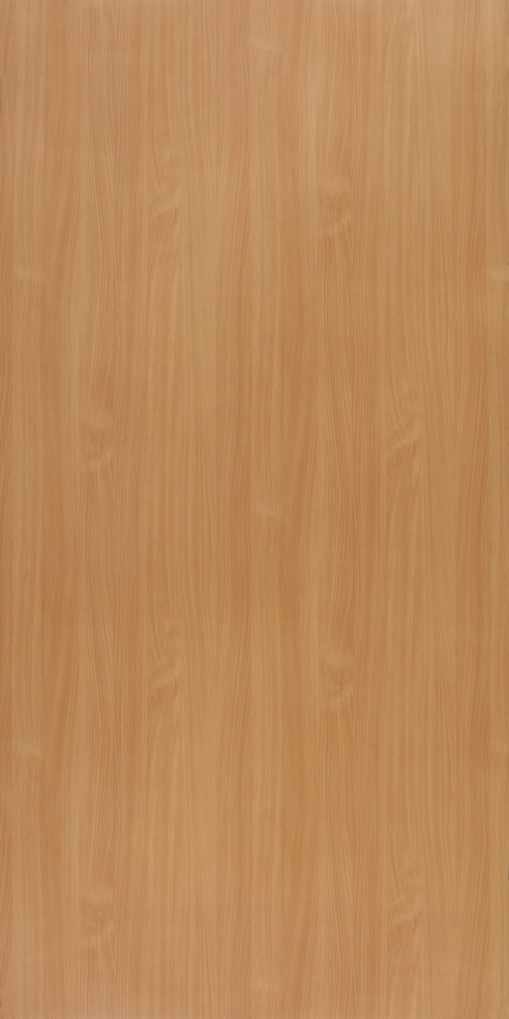 Merino Sea Beech