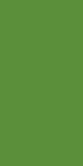 Merino Parrot Green, 21143 SUEDE