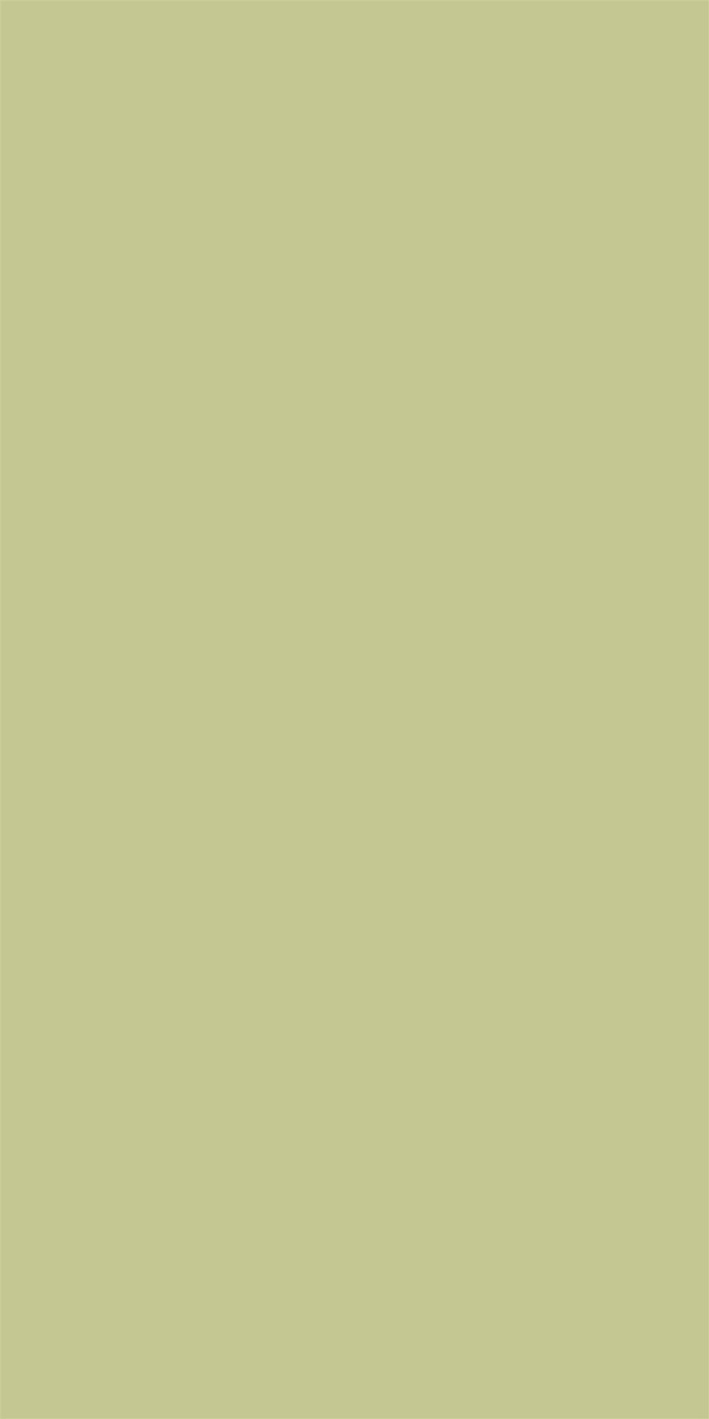 मेरिनो लोटो ग्रीन, 22133 SUEDE