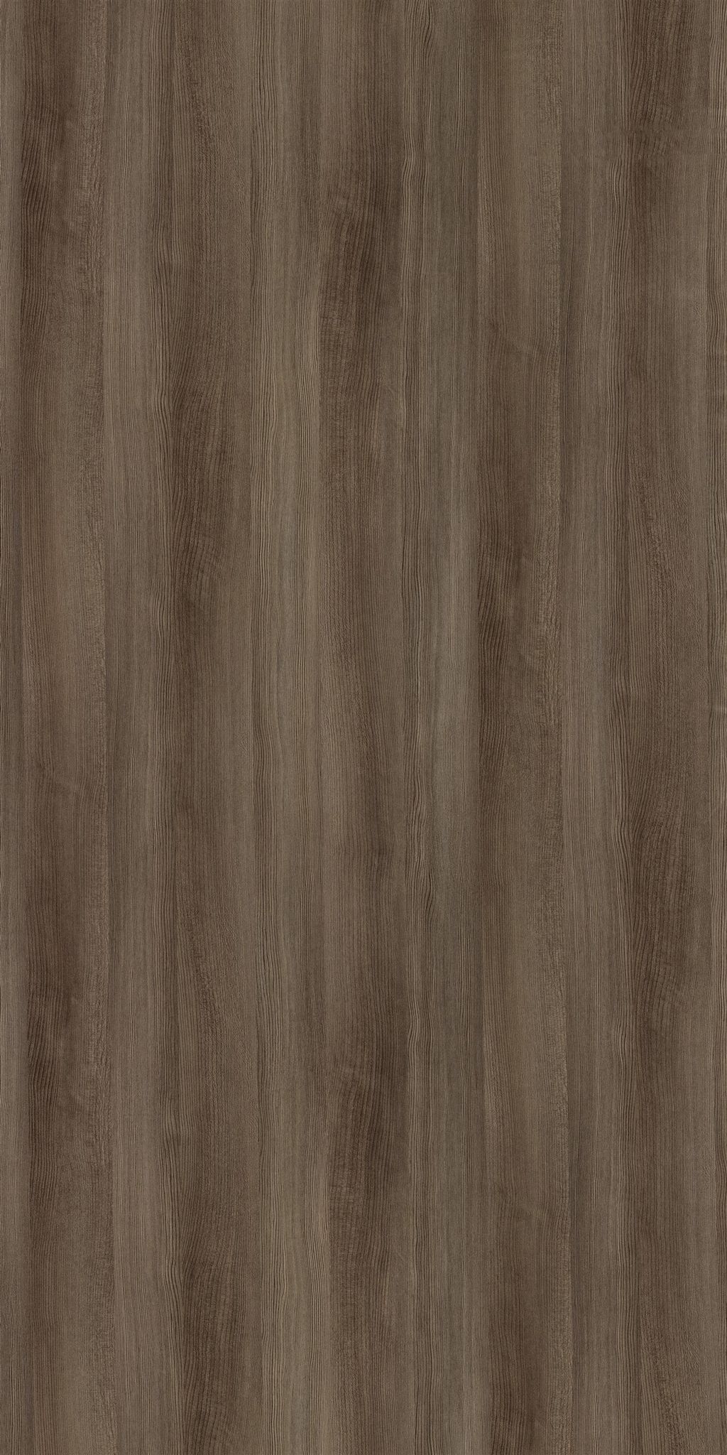 Merino Foothill Pine, 14929 HGL