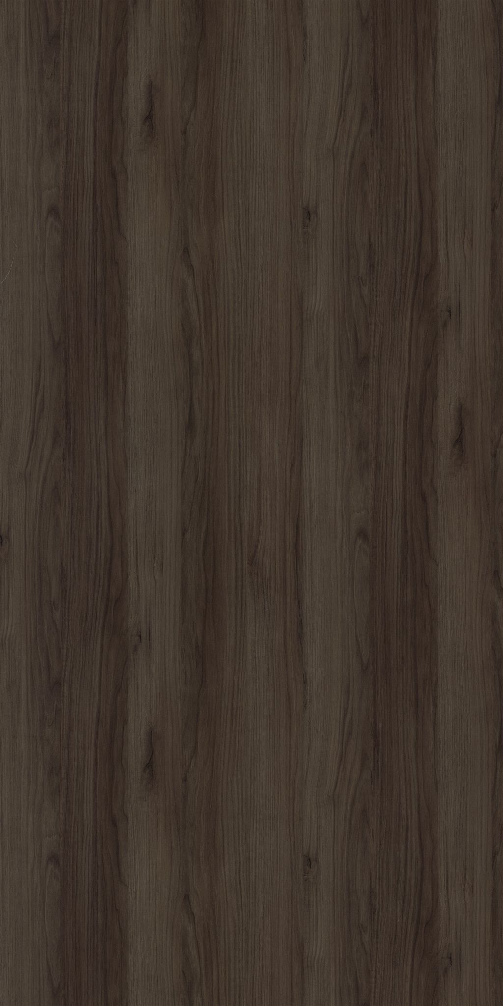 Merino Beles Samari Oak