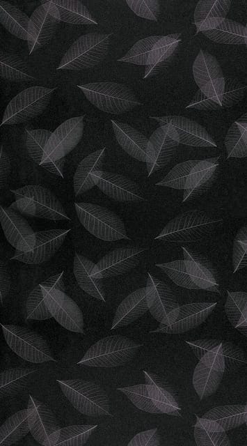 Sky Decor Decorative Laminates 32 SQ.FT, SD2004