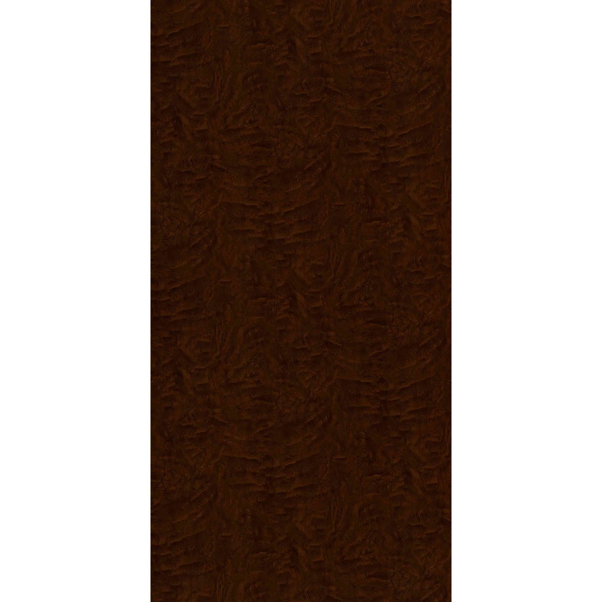 Century Lam Gloss Solid - Rainbow CAMPHOR BROWN