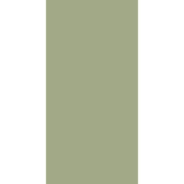 Century Lam SOLIDS Pastels Pista Green