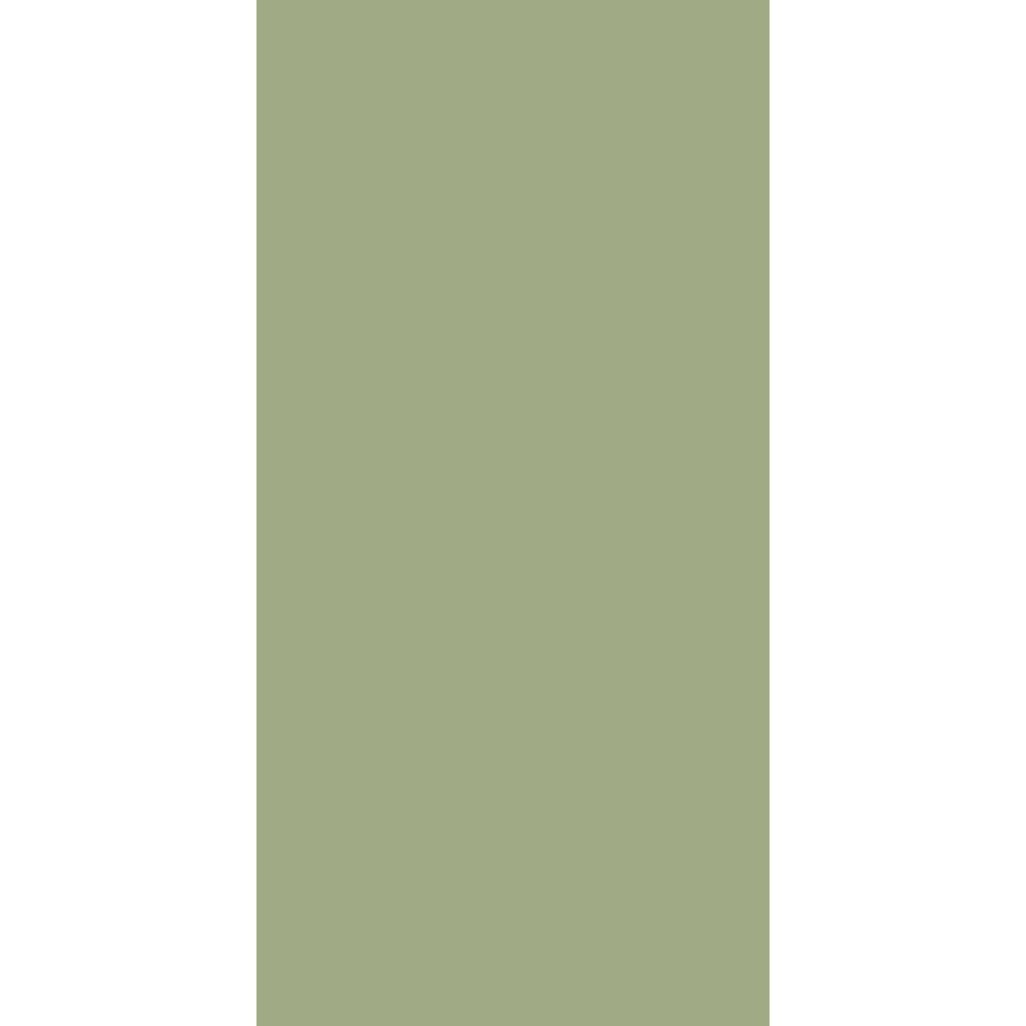 Century Lam SOLIDS Pastels Pista Green