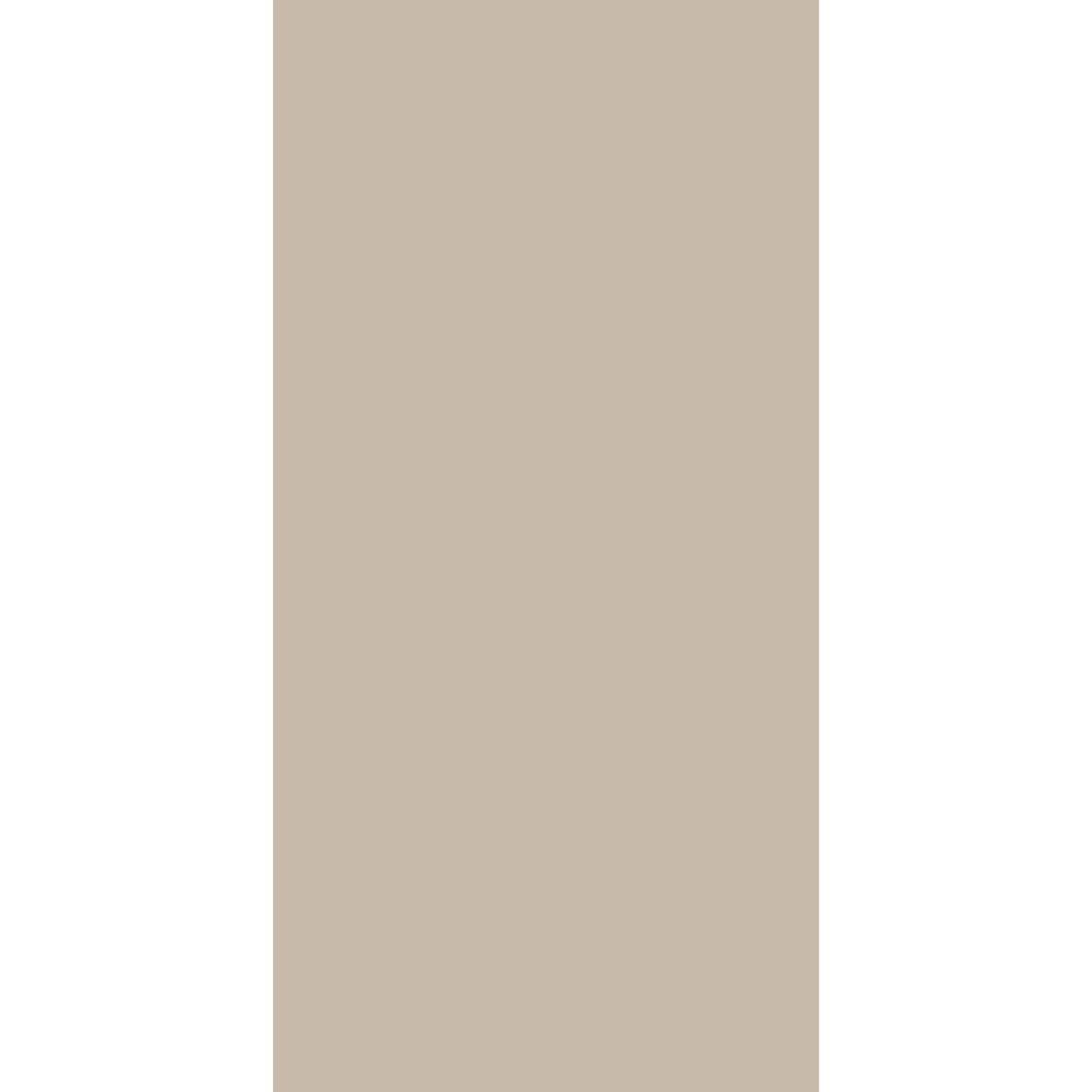 Century Lam SOLIDS Pastels Light Beige