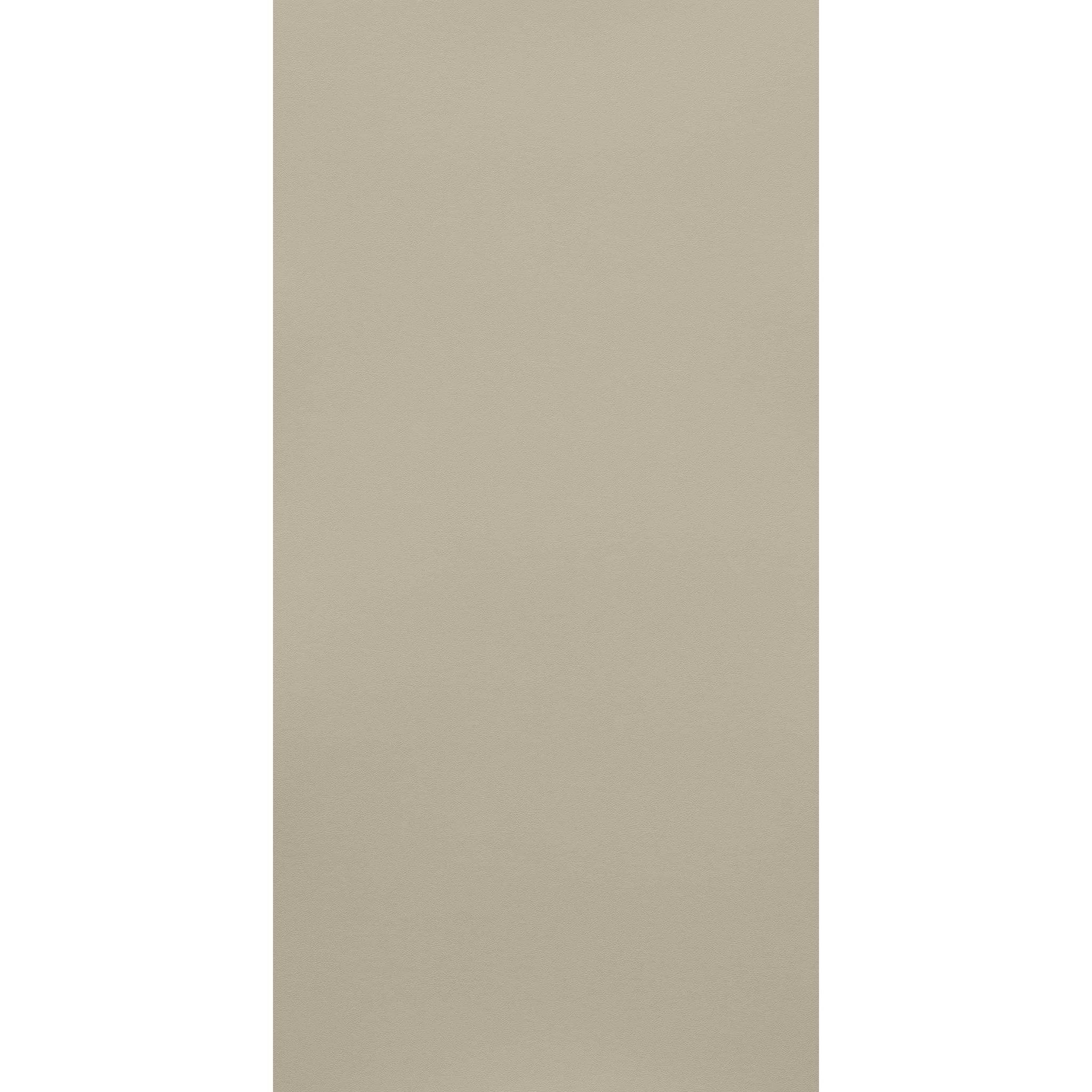 Century Lam TEXTURES Urban Leather Beige