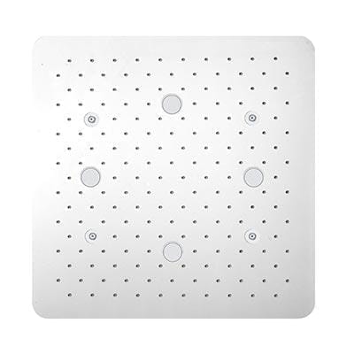Grotto Simolare Two Function Ceiling Shower