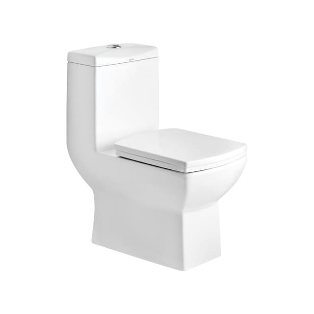 Cera CLAYTON 300 MM ONE PC EWC SNOW WHITE