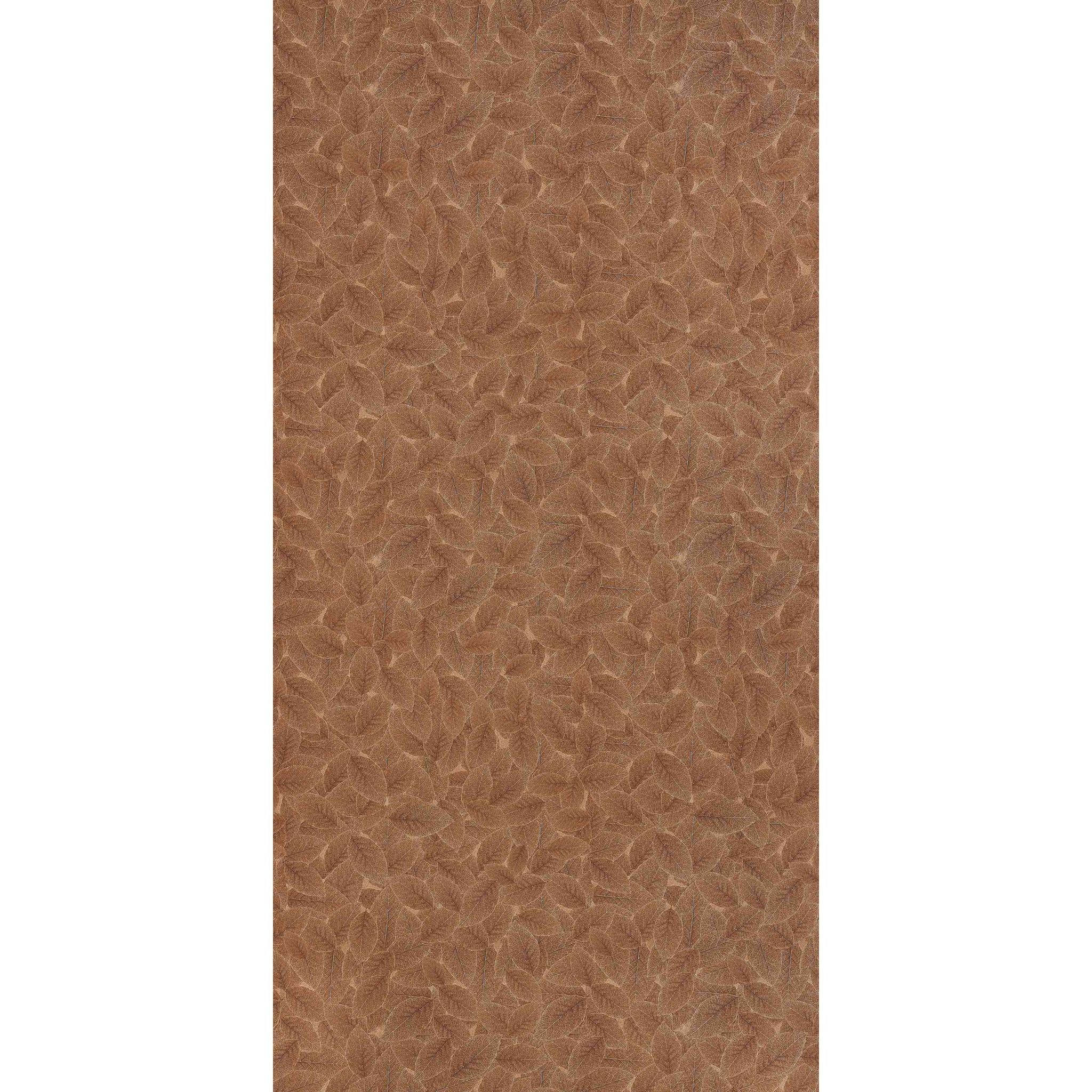Century Lam Gloss Solid - Rainbow CHESTNUT BROWN