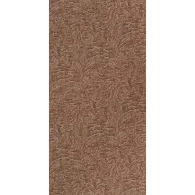 Century Lam Gloss Solid - Rainbow CAMPHOR GREY