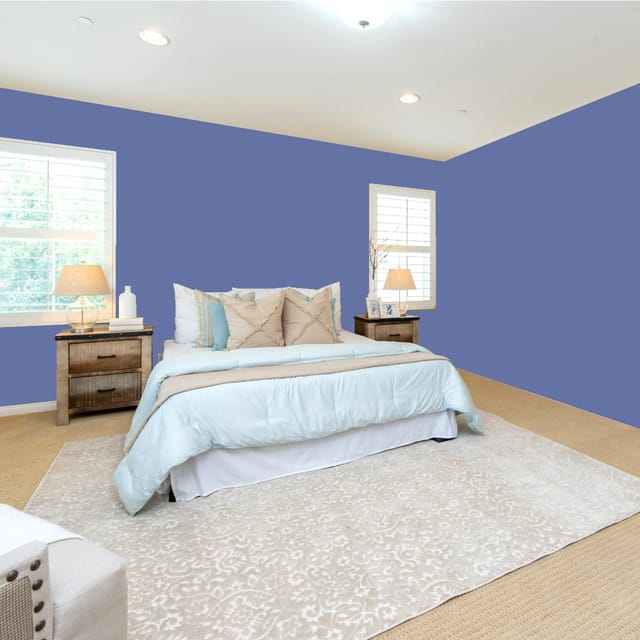 Shalimar SUPER SHAKTIMAN EXTERIOR ACRYLIC EMULSION EXTERIOR EMULSION Purple