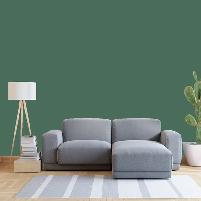 Shalimar NO.1 SILK EMULSION INTERIOR EMULSION Green
