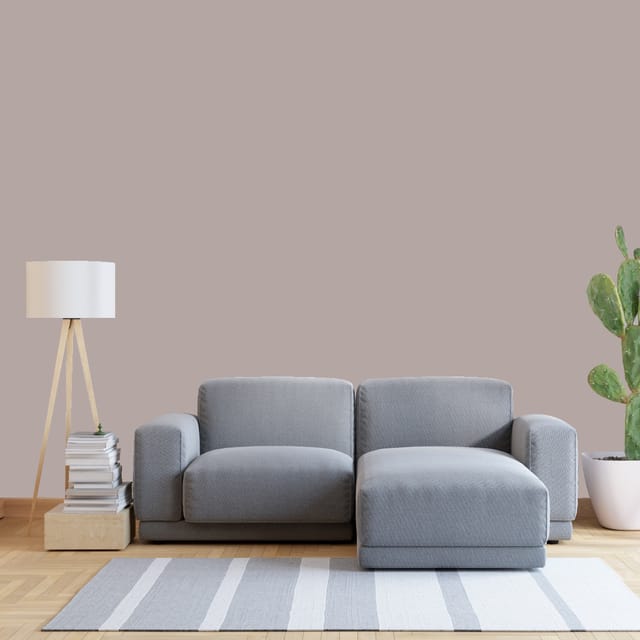 Shalimar SILK SIGN EMULSION INTERIOR FINISHES Brown