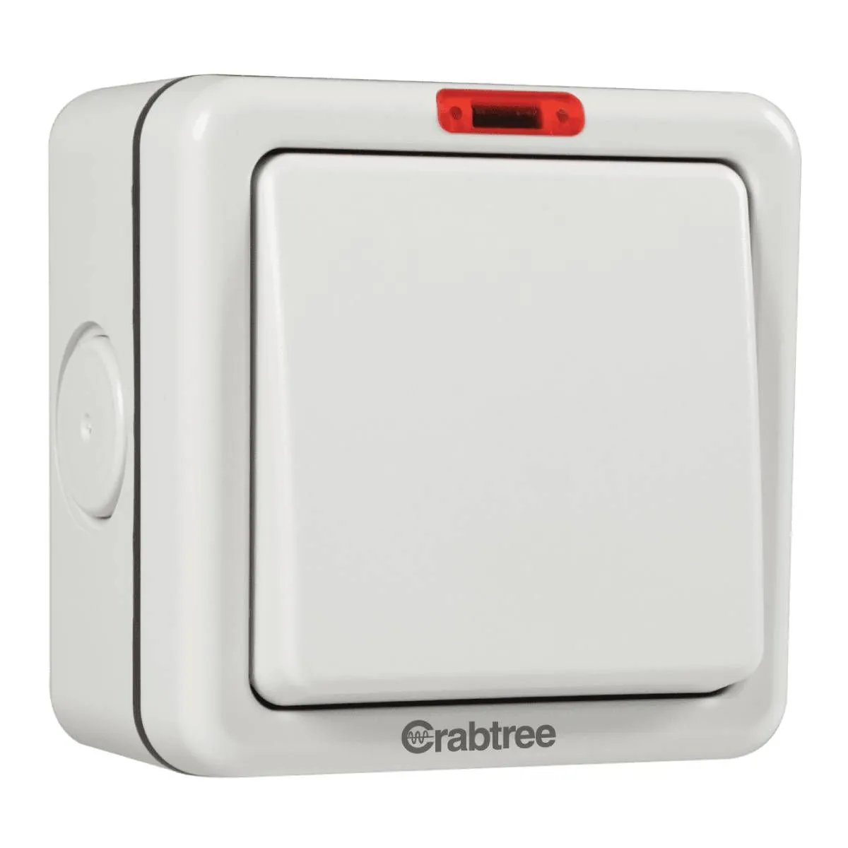 Havells 1 Gang 20 A DP Switch with indicator IP66 Switches & Sockets