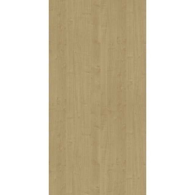 Merino Asian Maple