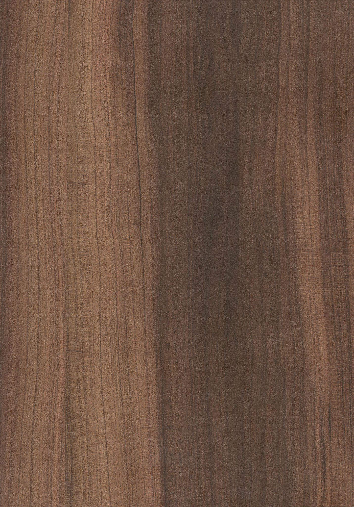 Greenlam Cafe Prune HSC