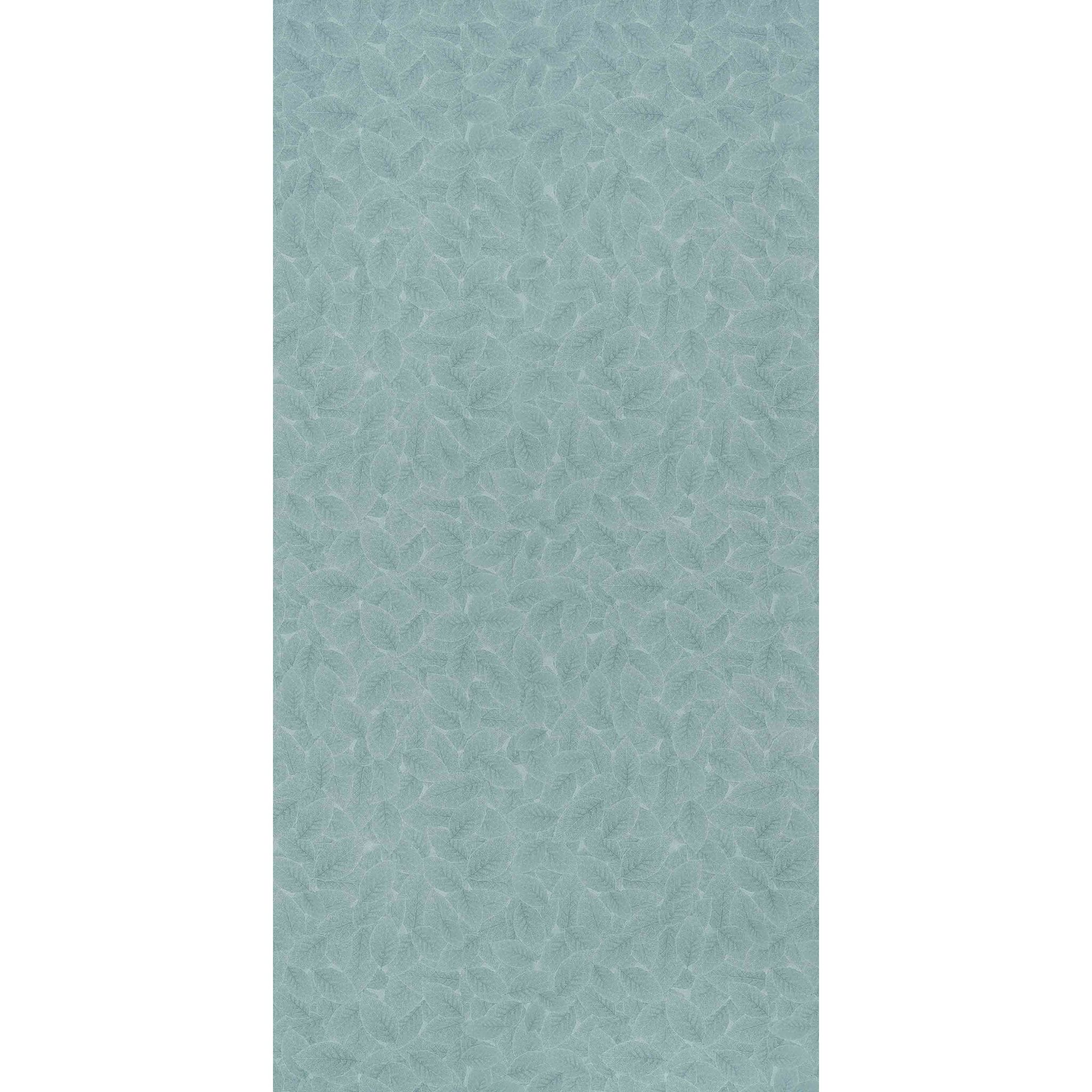 Century Lam Gloss Solid - Rainbow CHESTNUT AQUA