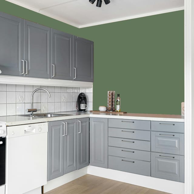 Shalimar WEATHERPRO+ SUPER PREMIUM 100% ACRYLIC EMULSION EXTERIOR FINISHES  Green