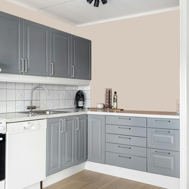 Shalimar XTRA TOUGH 100% PREMIUM ACRYLIC EMULSION EXTERIOR EMULSION Brown Shalimar XTRA TOUGH 100% PREMIUM ACRYLIC EMULSION EXTERIOR EMULSION Brown