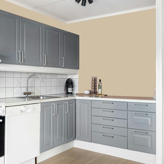 Shalimar XTRA TOUGH ANTI CARBONATION COATING EXTERIOR EMULSION  Brown