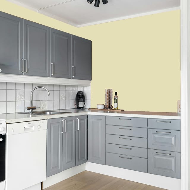 Shalimar HERO SUPER PREMIUM EXTERIOR EMULSION INTERIOR EMULSION  Yellow