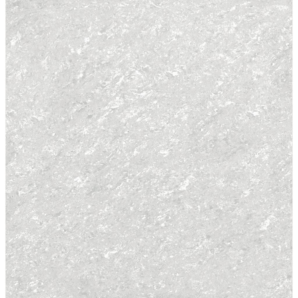 AGL Tropic Gris-SST