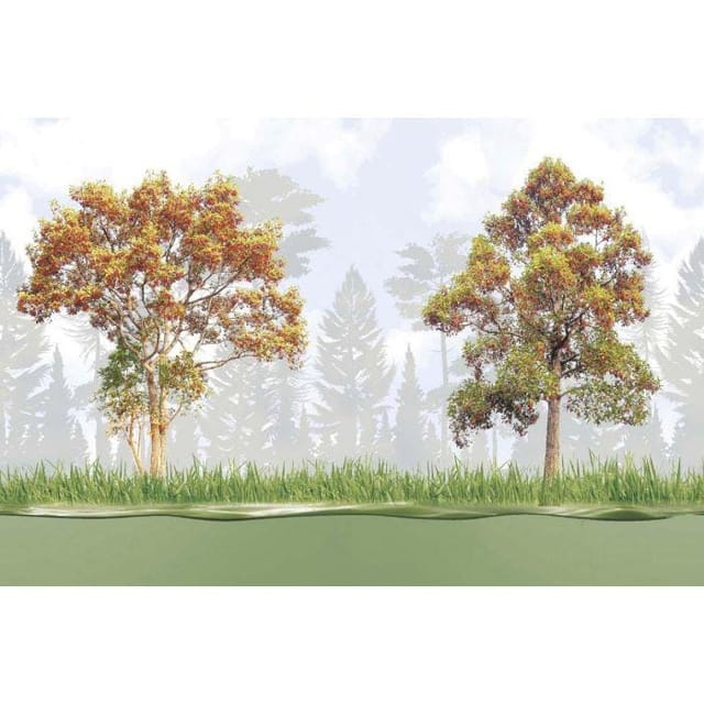 AGL KPG 1067 KPG 1067 Hl-1