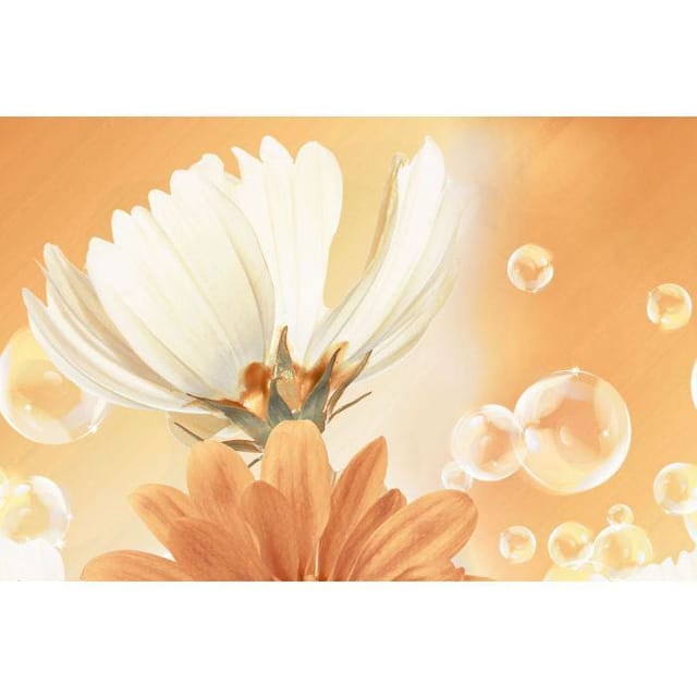 AGL KPG Rog 1040 KPG Rog 1040 Hl-1