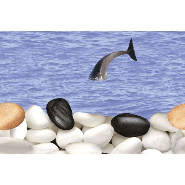 AGL KPG Rog 1038 KPG Rog 1038 Hl-3