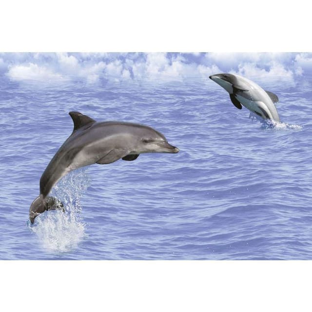 AGL KPG Rog 1038 KPG Rog 1038 Hl-2 AGL KPG Rog 1038 KPG Rog 1038 Hl-2