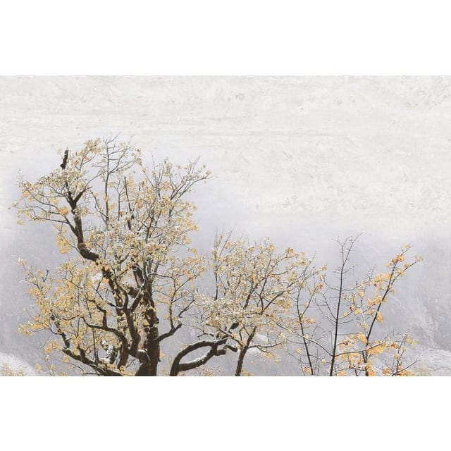 AGL KPG Rog 1043 KPG Rog 1043 Hl-1 AGL KPG Rog 1043 KPG Rog 1043 Hl-1