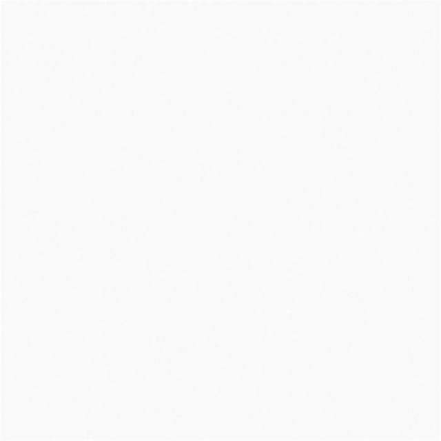 AGL KPG Wl 4004 KPG Satin Bianco FL