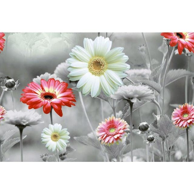 AGL KPG Rog 1059 KPG Rog 1059 Hl-2