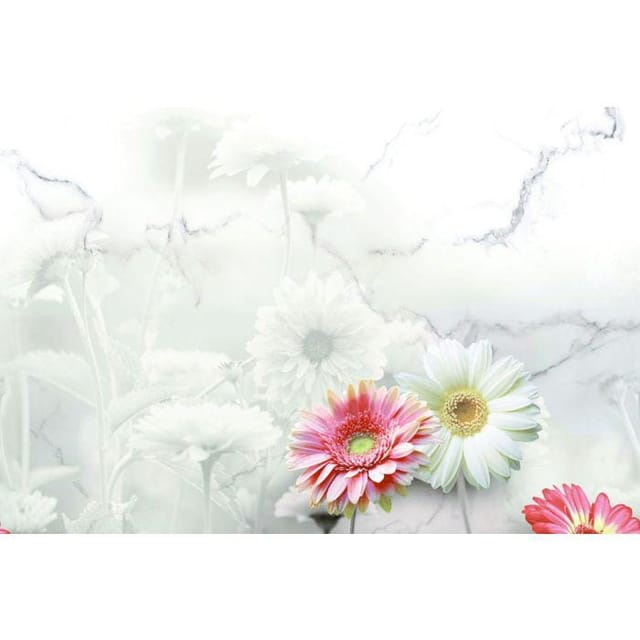 AGL KPG Rog 1059 KPG Rog 1059 Hl-1 AGL KPG Rog 1059 KPG Rog 1059 Hl-1