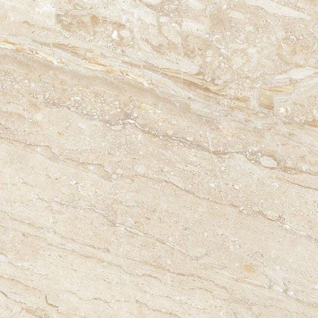 AGL Regalia Regalia Fawn FL